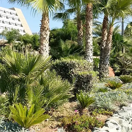 Fantastic 1 Bed By The Sea Opposite 4 Seasons Limassol
