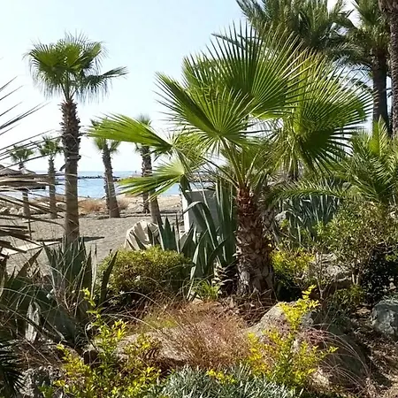 Fantastic 1 Bed By The Sea Opposite 4 Seasons Limassol